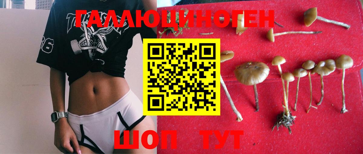 Псилоцибиновые грибы GOLDEN TEACHER Тольятти
